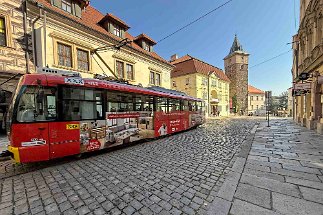 IMG_9374 Pilsen null