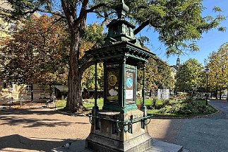 IMG_9410 Pilsen null