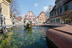 2019 04 01 5DIV8462 Ladenburg Marienbrunnen