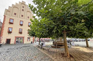 IMG_8050 Gerolzhofen null