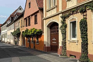 IMG_8051 Gerolzhofen null