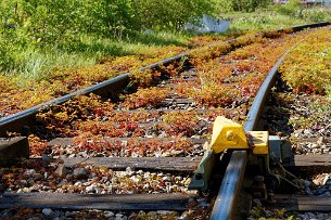 2016 05 07 061C1528 Brinker Hafen Gleise