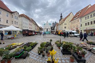 2021 04 13 IMG_5819 Lutherstadt Eisleben