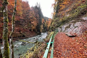 2022 10 14 IMG_9629 Wanderweg Breitachklamm