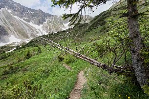 2018_06_08 5DIV1356 Wanderung Warmentsgundtal