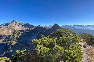 Blick zum Nebelhorn Bild 12