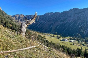 Blick zur Seealpe Bild 15