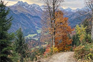 2021 10 25 IMG_1822 Wanderung Blick Stillachtal