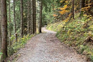 2021 10 25 IMG_1825 Wanderung Soellereck Freibergsee