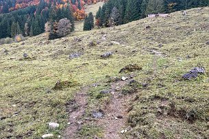 2021 10 25 IMG_1830 Wanderung Soellereck Freibergsee