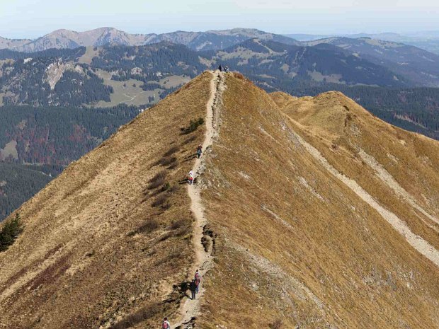 Fellhorngipfel - Gratweg - Söllereck