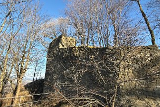IMG_9534 Ruine Harzburg null