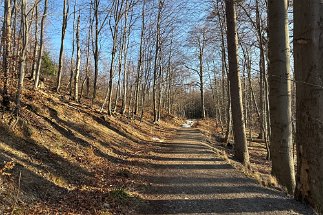 IMG_9541 Weg ab Antoniusplatz null