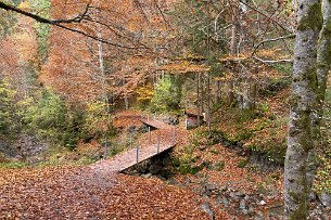 2021 10 26 IMG_1934 Wanderung Breitach