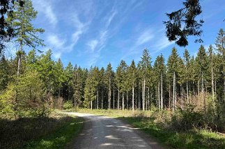 IMG_2517 Weg Nienstedter Pass Nordmannsturm null