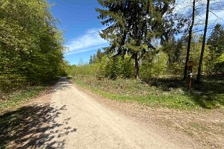 IMG_2526 Weg am Nordmannsturm null