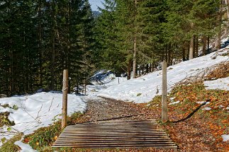 Bergschauweg null