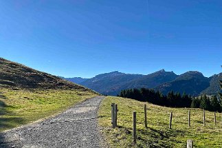 Bergschauweg null