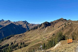 Ochsenhofer Köpfe null