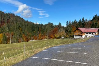 2021 10 26 IMG_1930 Walserschwanz null