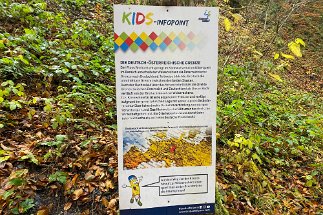 2021 10 26 IMG_1935 Wanderung Breitach null