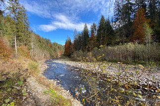 2021 10 26 IMG_1953 Wanderung Breitach null