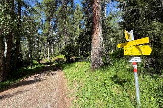 IMG_2890 Abzweig Gschwandtkopf null