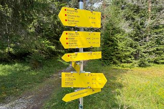 IMG_3566 Wegweiser Hochwald null