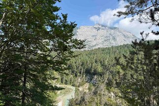 IMG_3569 Panoramablick# null