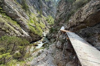 IMG_3582 Gleirschklamm null