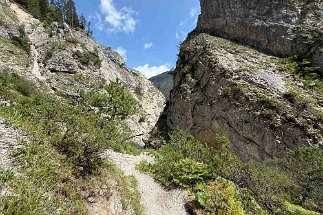 IMG_3583 Gleirschklamm null