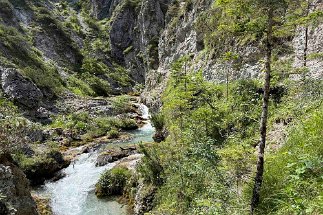 IMG_3585 Gleirschklamm null