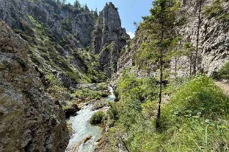 IMG_3587 Gleirschklamm null
