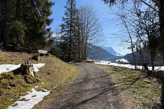 IMG_2083 Panoramaweg Bichlbach Lähn null
