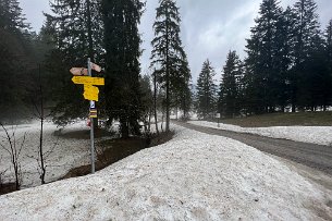 2022 04 15 IMG_1804 Wanderung Kreuth Klamm Bad Wiessee