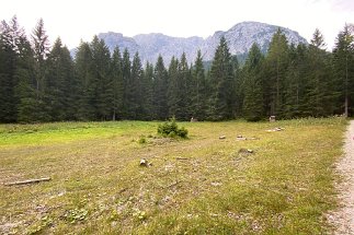 IMG_9726 Wanderung Bannholzweg null