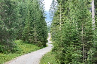 IMG_9729 Wanderung Ferchensee Elmau null