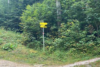 IMG_9730 Wanderung Ferchensee Elmau null