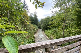 IMG_9744 Brücke Ferchenbach null