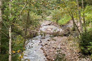 IMG_9745 Ferchenbach null