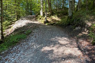 IMG_8580 Weg zwischen Geroldsee Barmsee null