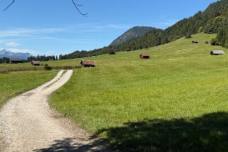 IMG_8591 Almwiesen am Geroldsee null