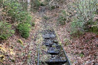 IMG_7509 Bobaufzug null