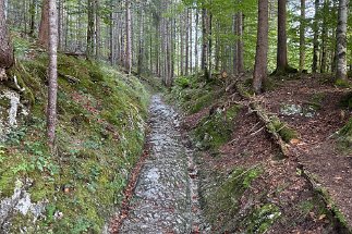 IMG_8491 Klais Römerweg null