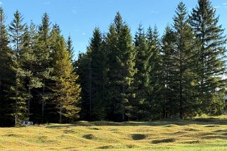 IMG_8493 Klais Ausläufer Buckelwiesen null