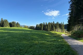 IMG_8504 Weg zum Tennsee null