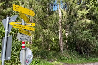 IMG_8538 Wegweiser am Barmsee null