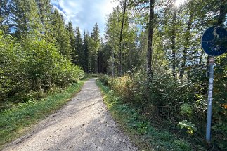 IMG_8542 Weg Nordufer Barmsee null