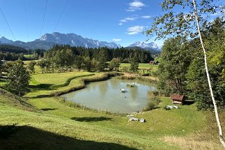 IMG_8550 Weiher in Bärnbichl null
