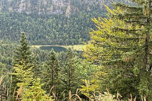 Blick zum Ferchensee Bild 7